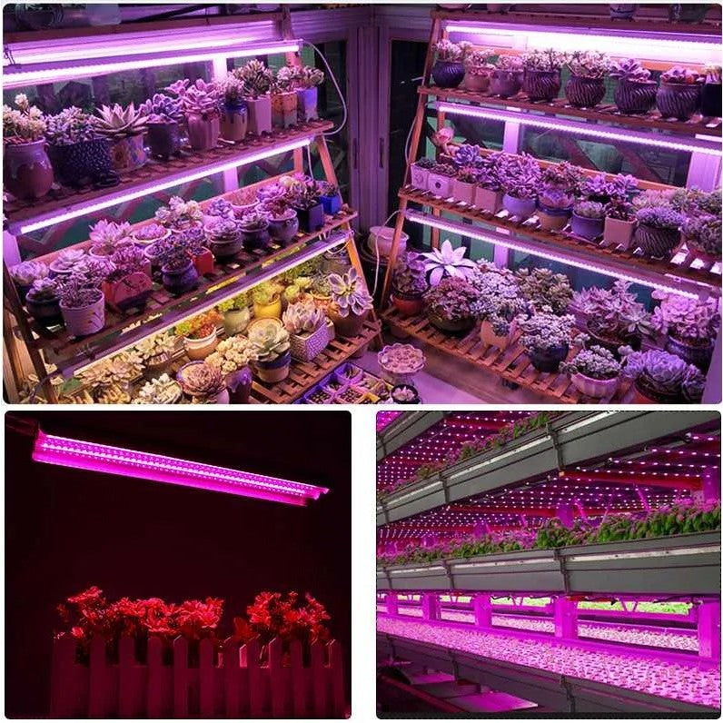 Lampă LED dubă pentru creșterea plantelor 50 cm – spectru complet, T5, eficientă pentru întreg ciclul