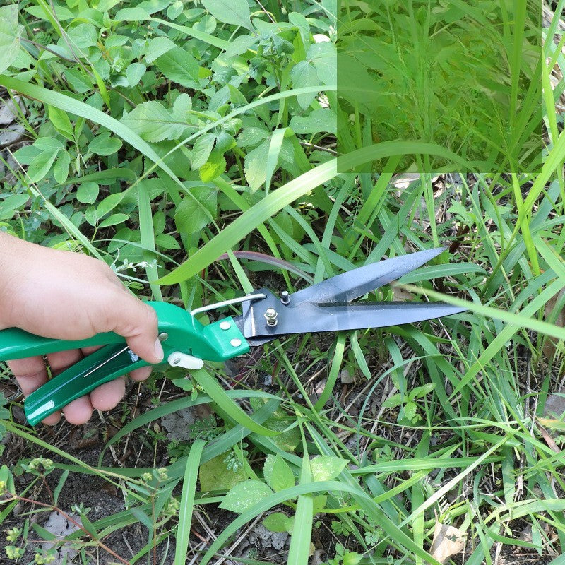 Set 10 accesorii grădinărit inox + geantă depozitare verde 37×28 cm